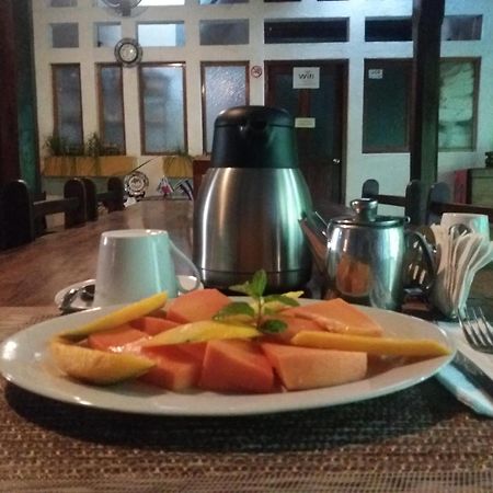 Hostal Fuente Castalia, B Y B Leon Luaran gambar