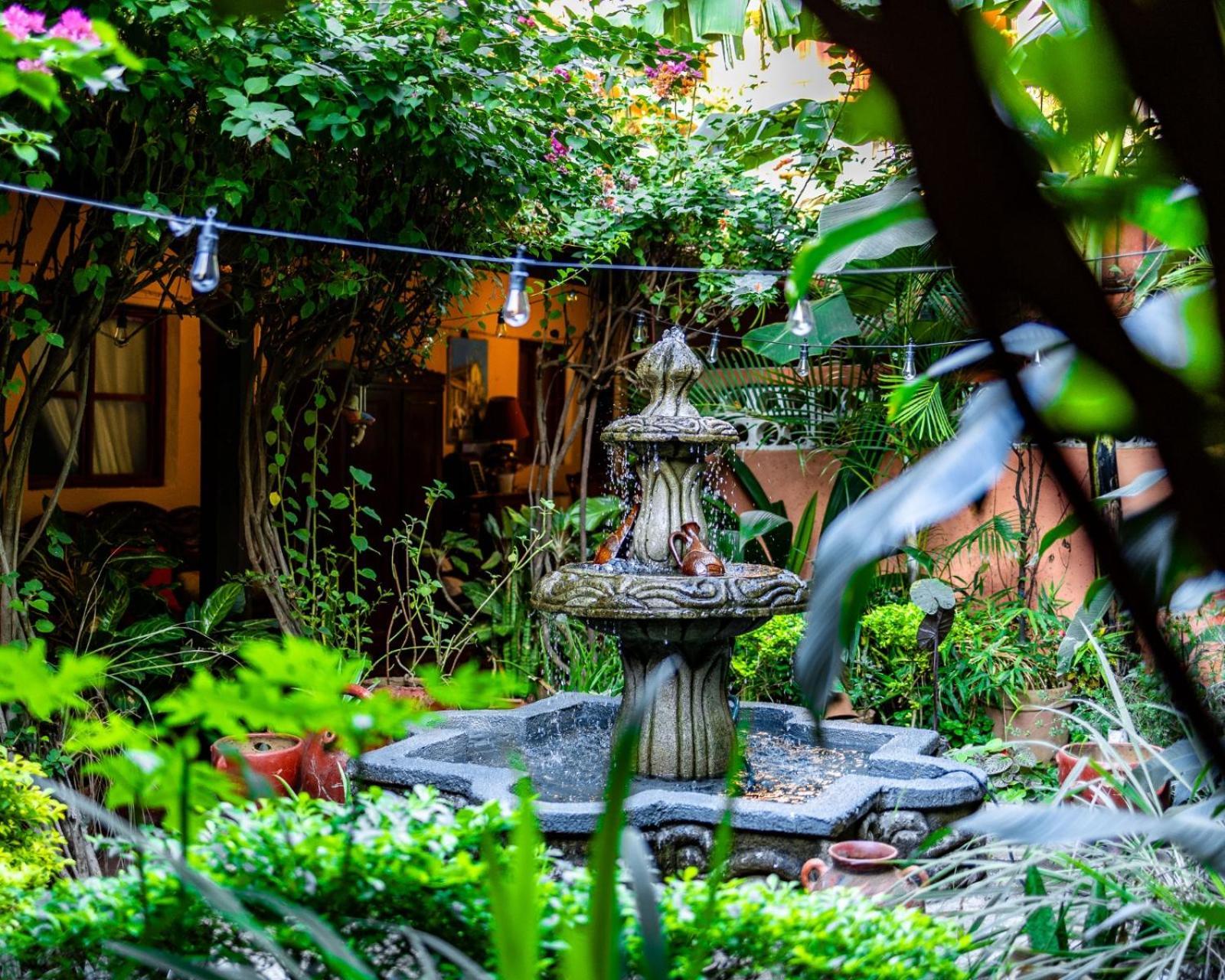 Hostal Fuente Castalia, B Y B Leon Luaran gambar